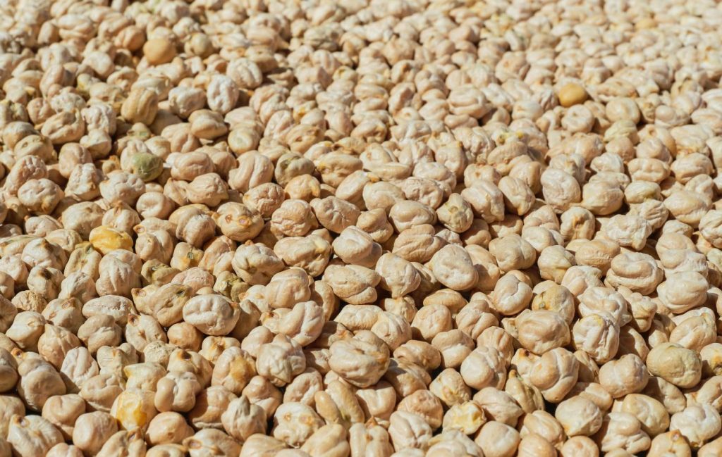 Dried chickpeas bulk